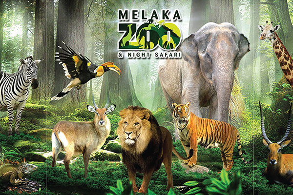 Melaka Zoo Night Safari